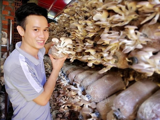 Anh Nguyễn Xuân Truyện đạt doanh thu hàng năm trên 10 tỷ đồng, tạo việc làm thu nhập ổn định cho nhiều lao động tại địa phương. 