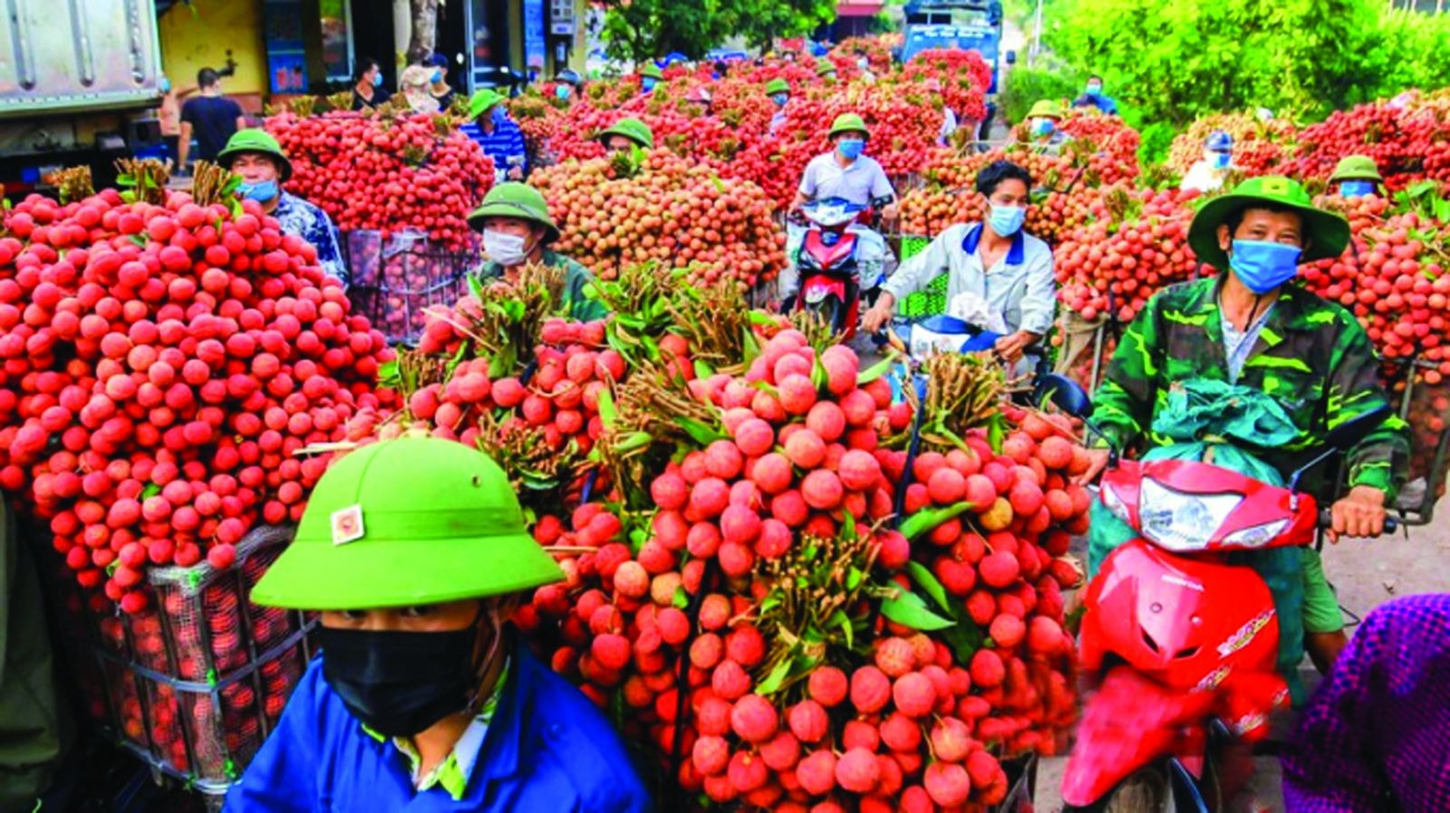  Việc bãi bỏ các quy hoạch về đầu tư phát triển hàng hóa, dịch vụ, sản xuất, tiêu thụ... sẽ giúp doanh nghiệp tự định hướng theo cơ chế thị trường.