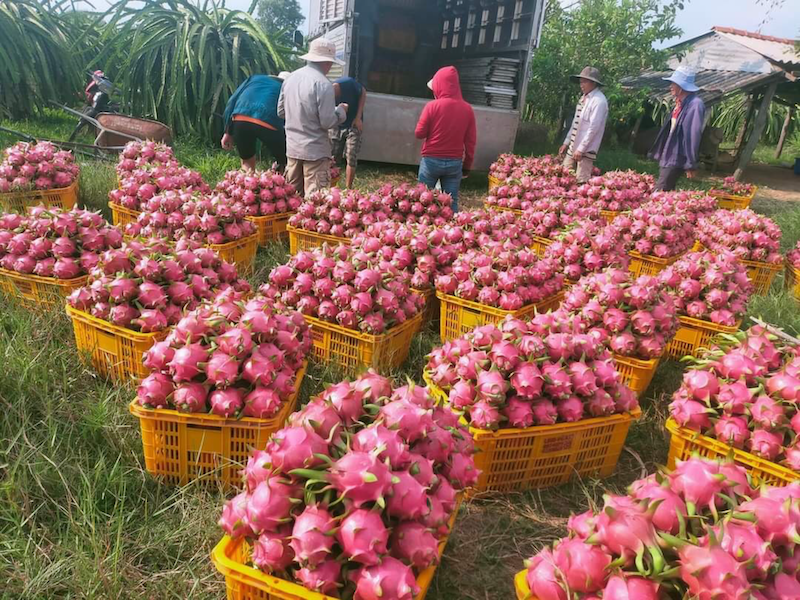  giải pháp trọng tâm để giải quyết bài toán 