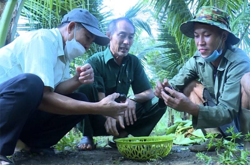 Anh Bảo (bìa phải) giới thiệu cách nuôi ốc bươu đen cho cán bộ xã Quảng Hiệp. Ảnh: Trung Dũng.