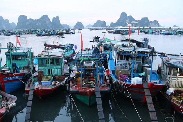 Hình ảnh do các nhà báo, phóng viên tham gia khóa tập huấn đi tác nghiệp thực tế tại thành phố Cẩm Phả, tỉnh Quảng Ninh. 