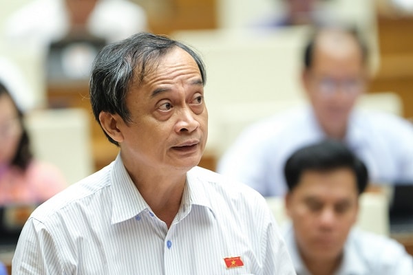 Đại biểu Quốc hội Nguyễn Thanh Phương (Cần Thơ).