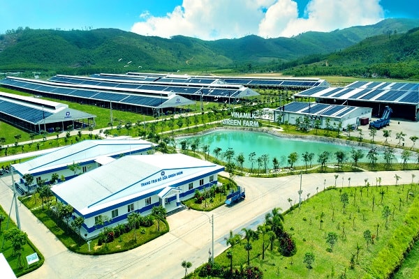 Mô hình trang trại sinh thái Vinamilk Green Farm được Vinamilk triển khai tại 3 tỉnh thành Thanh Hóa, Quảng Ngãi và Tây Ninh.