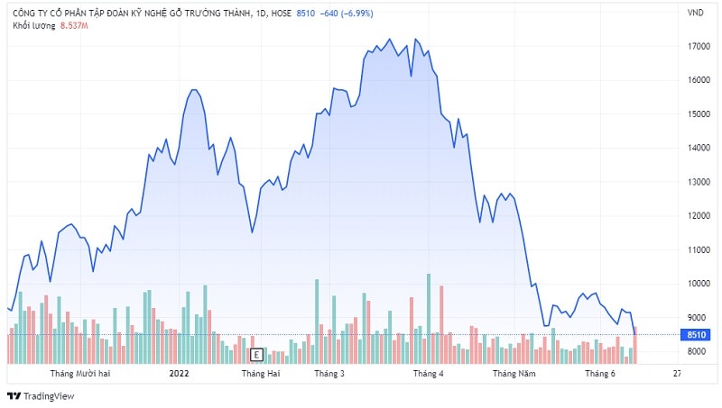 Cổ phiết TTF sau khi đạt thị giá 17.200 đồng/cổ phiếu vào ngày 21/3 thì quay đầu giảm giá, hiện thị giá chỉ còn 8.510 đồng/cổ phiếu, chốt phiên giao dịch ngày 13/6, tương đương với giảm trên 50%