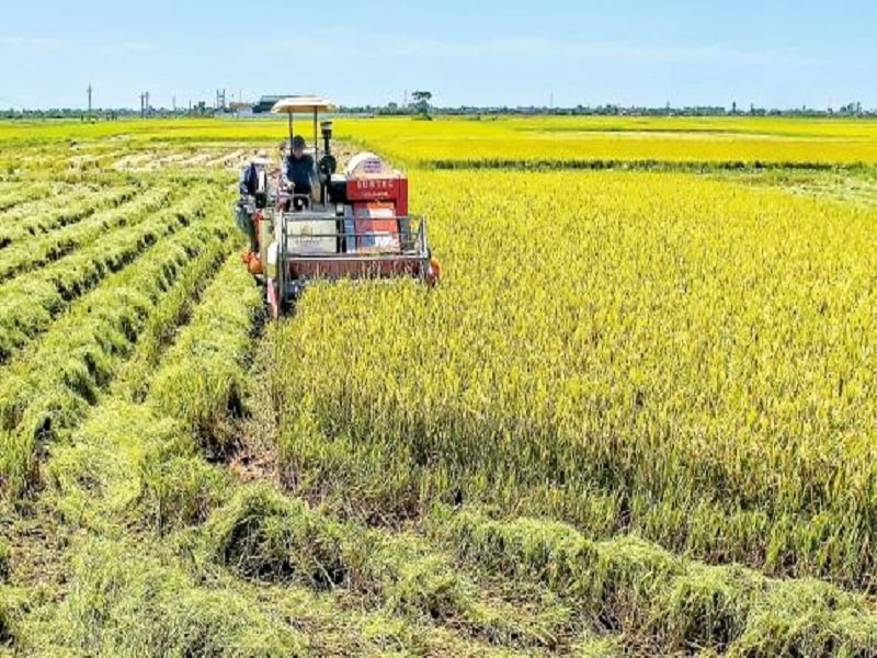 Nhắc đến Thái Bình, người ta thường nhắc đến cụm từ quê lúa - quê hương của chị Hai năm tấn, nơi mà mỗi hạt lúa được góp nhặt từ bao mồ hôi công sức của người nông dân.