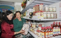 Bình Định hỗ trợ phụ nữ khởi nghiệp: Mới mẻ và thiết thực