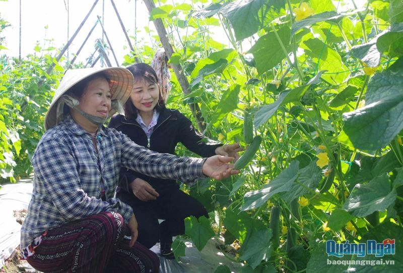 Nhiều phụ nữ ở xã Hành Thiện (Nghĩa Hành) phát triển kinh tế gia đình từ việc canh tác rau sạch.