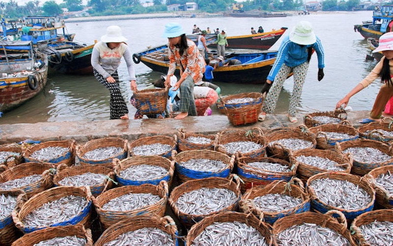 ông Phùng Đức Tiến - Thứ trưởng Bộ NN-PTNT, cho rằng: Theo số liệu thống kê, nước mắm Việt Nam xuất khẩu chiếm tỷ lệ rất nhỏ so với tổng sản lượng hàng năm, trong khi, ngành hàng này còn rất nhiều tiềm năng. 