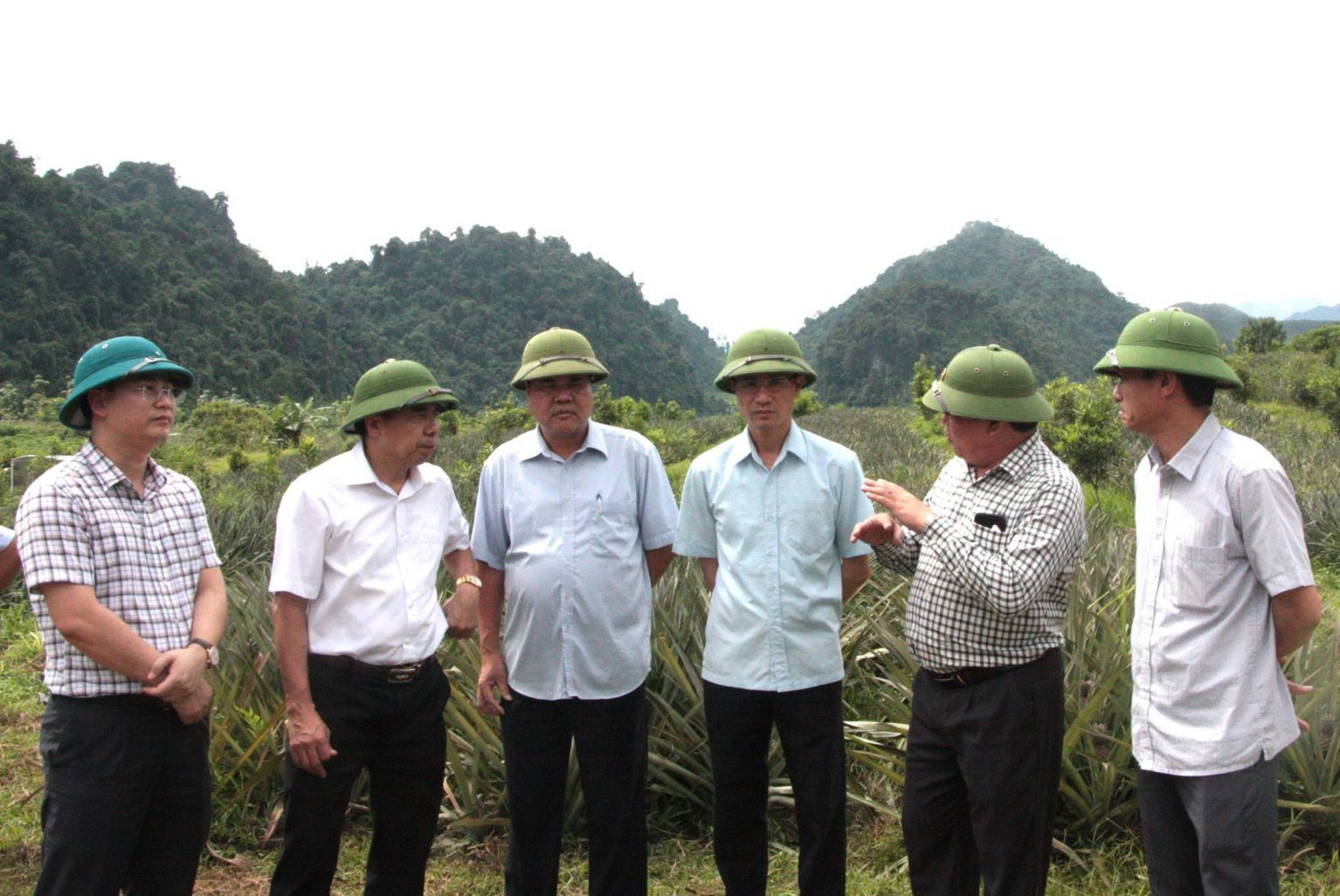 Phó Chủ tịch tỉnh Lai Châu Hà Trọng Hải cùng doanh nghiệp khảo sát dự án dứa tại Sìn Hồ