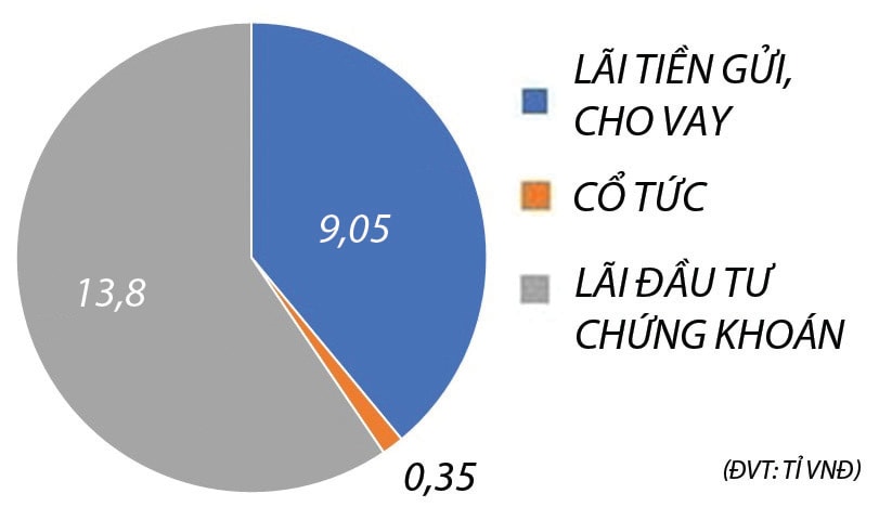  Cơ cấu doanh thu tài chính của NDN. 