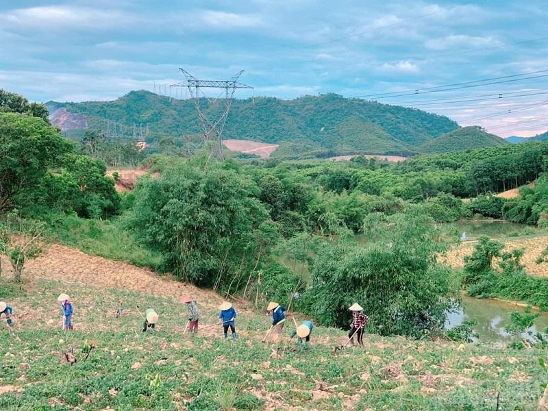 Những cánh đồi trọc