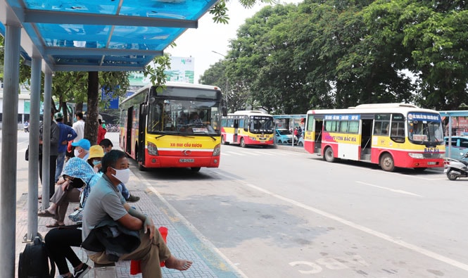 Thành phố Hà Nội cần có giải pháp đồng bộ để vận tải hành khách bằng xe buýt phát triển bền vững