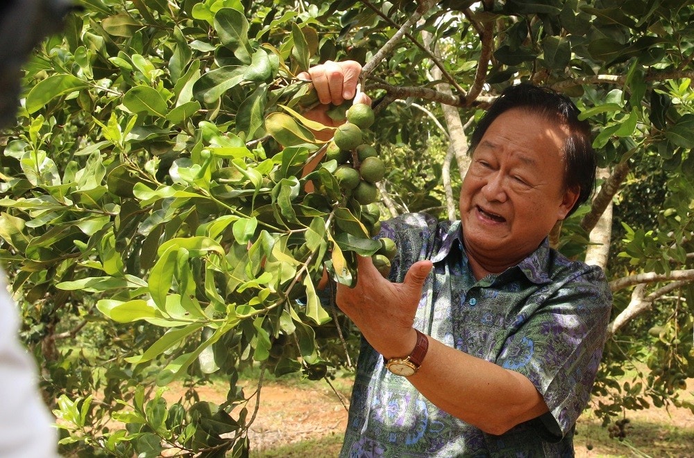 PGS.TS Nguyễn Lân Hùng ngỡ ngàng cây mắc ca trồng xã Vĩnh Sơn, huyện Vĩnh Thạnh, tỉnh Bình Định hợp khí hậu, phát triển tốt, ra quả sai.