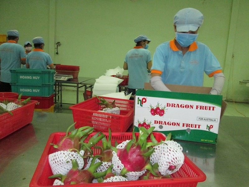 Xuất khẩu rau quảp/sang Trung Quốc giảm 30%.