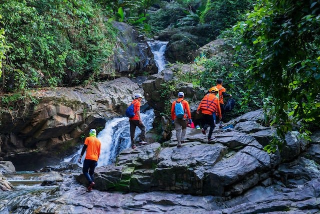 Với những lợi thế sẵn có, Quảng Bình đang lên phương án thu hút đầu tư vào du lịch rừng theo hướng hiệu quả