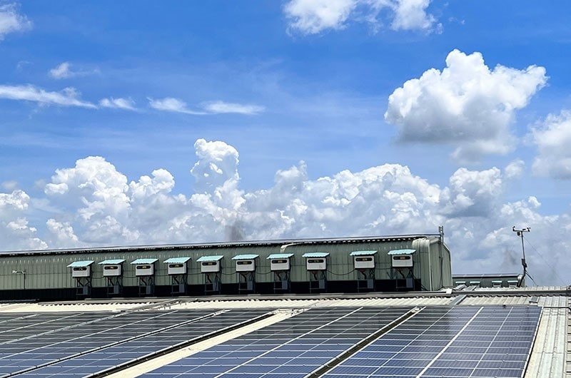 Hệ thống điện mặt trời 3.6MW do công ty Alena đầu tư tại Long An