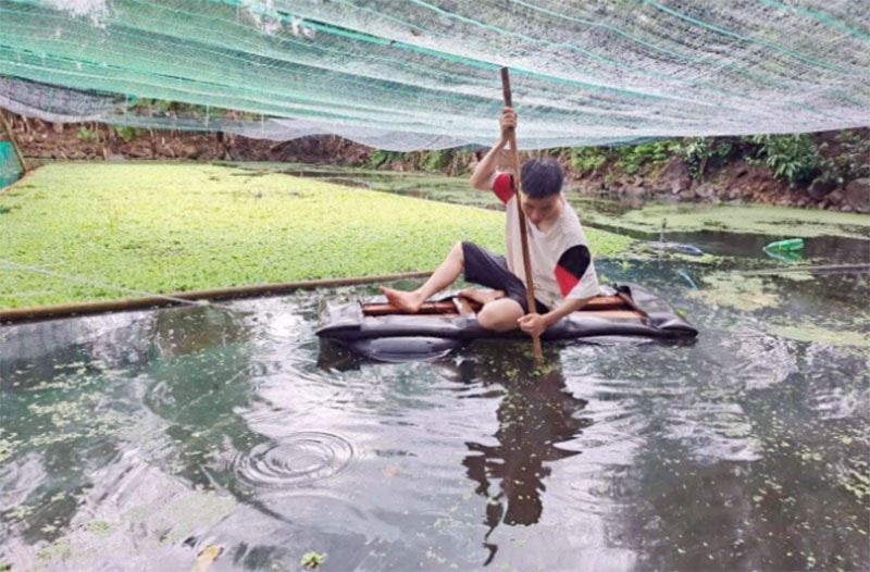 Áp dụng các kỹ thuật đã được học vào thực tiễn, anh Sỹ quyết định đầu tư 30 vạn ốc giống nuôi trên diện tích 600m2, phân bổ làm 2 ô, mỗi ô 15 vạn con. Ảnh: Xuân Lợi.