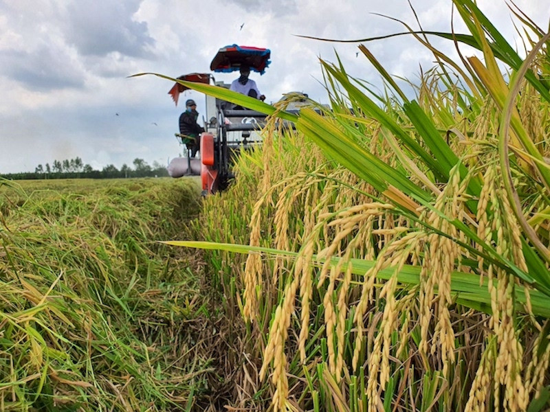 Cần bước chuyển chuyển từ tư duy sản xuất nông nghiệp sang kinh tế nông nghiệp.