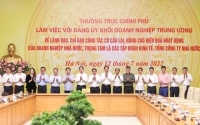 TIN NÓNG CHÍNH PHỦ: Thường trực Chính phủ làm việc với Đảng uỷ khối Doanh nghiệp Trung ương