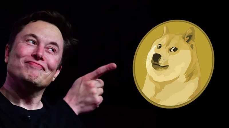 Những Tweet của Elon Musk về Dogecoin thường khiến giá của nó biến động khủng khiếp.