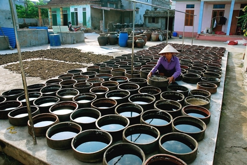 Làng nghề nước mắm Sa Châu đã nổi tiếng từ thời vua Minh Mạng. Quanh làng lúc nào cũng dậy mùi nước mắm. Nhà nào cũng hàng hàng lối lối chum vại phơi quanh nhà. Với hơn một trăm hộ làm nghề, sản lượng nước mắm của làng hàng năm lên đến cả 500.000 lít. Thị trường tiêu thụ chủ yếu của nước mắm Sa Châu là trong địa bàn tỉnh và một số tỉnh kế bên như Hà Nam, Thái Bình, Ninh Bình.