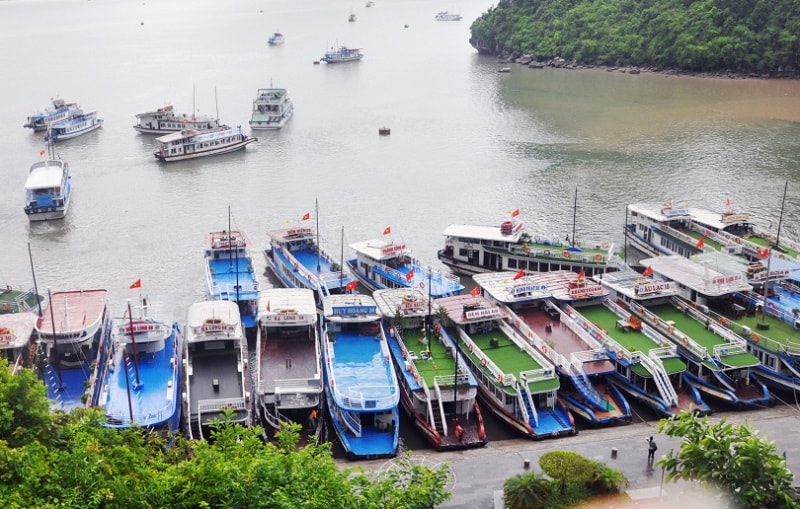 Vịnh Hạ Long chịu nhiều áp lực lớn về môi trường. Bên cạnh các áp lực tại chỗ trên vịnh (như hoạt động giao thông, cảng biển, du lịch, nuôi trồng và đánh bắt thuỷ sản, sinh cư trên mặt nước), các hoạt động ven vịnh rộng lớn và trên các lưu vực đổ vào vịnh (bao gồm các hoạt động nông nghiệp, lâm nghiệp, giao thông, công nghiệp, khai khoáng, du lịch - dịch vụ và sinh hoạt) đã gây ra những áp lực lớn lên môi trường, tài nguyên thiên nhiên và đa dạng sinh học Vịnh Hạ Long.