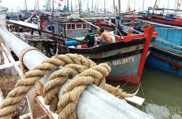 Có thời kỳ 50% tàu cá phải “nằm bờ” vì thua lỗ. Ảnh minh hoạ: Quốc Tuấn