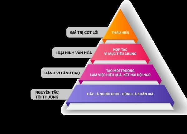 4 lớp xây dựng văn hóa làm việc tương tác tại TNG Holdings Vietnam