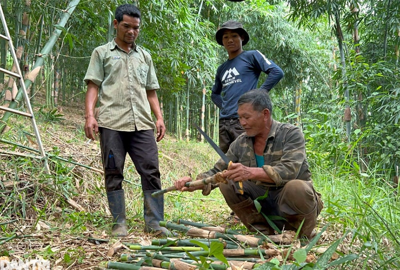 Vợ chồng ông Hoàng giúp tạo việc làm thường xuyên cho các lao động là người đồng bào dân tộc thiểu số tại địa phương.