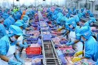 Doanh nghiệp thủy sản bị thiệt vì 