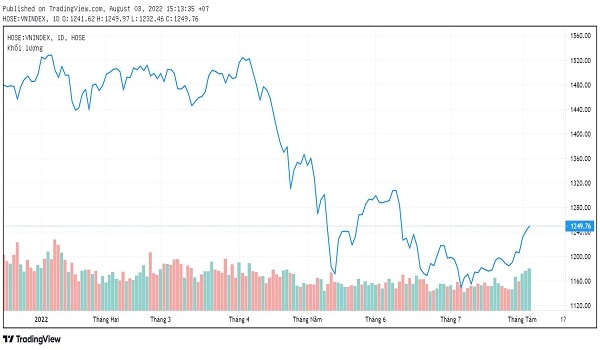 VNIndex giảm điểm mạnh từ đầu năm. Ảnh: TradingView