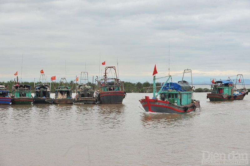 Cảng cá Ngọc Hải (quận Đồ Sơn, TP Hải Phòng)