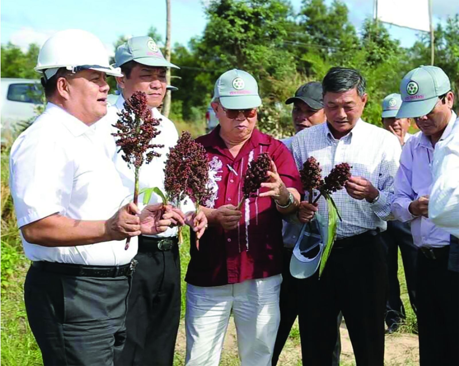  Lãnh đạo địa phương và Lãnh đạo, chuyên gia Tập đoàn Tín Thành thăm thực tế vùng nguyên liệu cây cao lương.