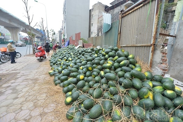 cần quan tâm đến chuỗi cung ứng ngắn nông sản, thực phẩm. Đây là mặt hàng tiêu dùng nhiều nhất, nhưng gặp nhiều khó khăn nhất, đólaf câu chuyện “được mùa mất giá”. Ảnh minh hoạ: Quốc Tuấn