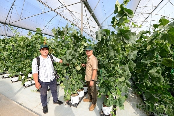 khi chuỗi cung ứng ngắn đi vào hoạt động, mối quan hệ giữa người sản xuất và người tiêu dùng sẽ được trao đổi trực tiếp, cởi mở và thấu đáo hơn, từ đó nâng cao sự gắn bó giữa các thành viên quan trọng trong xã hội. Ảnh minh hoạ: Quốc Tuấn