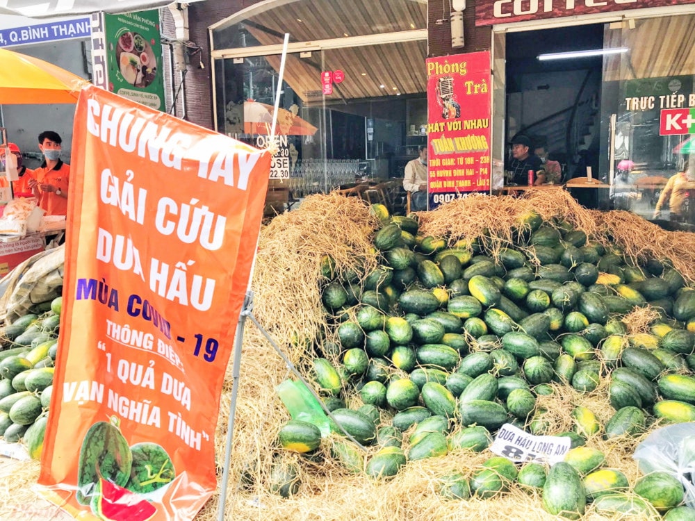 Các nông sản rơi vào tình trạng phải “giải cứu” hệ quả tất yếu của nền sản xuất nông nghiệp manh mún, thiếu kế hoạch, thiếu liên kết giữa sản xuất với thị trường tiêu thụ sản phẩm (Ảnh minh họa)