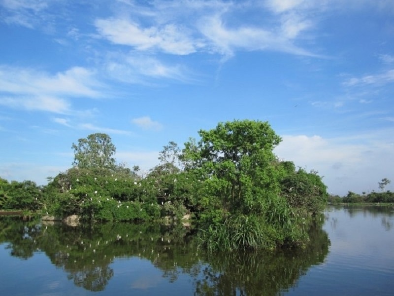 Đảo Cò Chi Lăng nằm ngay giữa lòng hồ An Dương rộng lớn, là nơi sinh sống của nhiều loài chim khác nhau trong đó tiêu biểu nhất là cò, vạc. Đến đây, bạn sẽ được tận mắt nhìn thấy từng đàn chim bay lượn ngay trước mắt, thu hẹp khoảng cách giữa con người và thế giới tự nhiên lại. Đó sẽ là một trải nghiệm vô cùng đắt giá đấy.