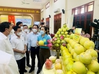 Hà Tĩnh: OCOP hai gam màu tương phản