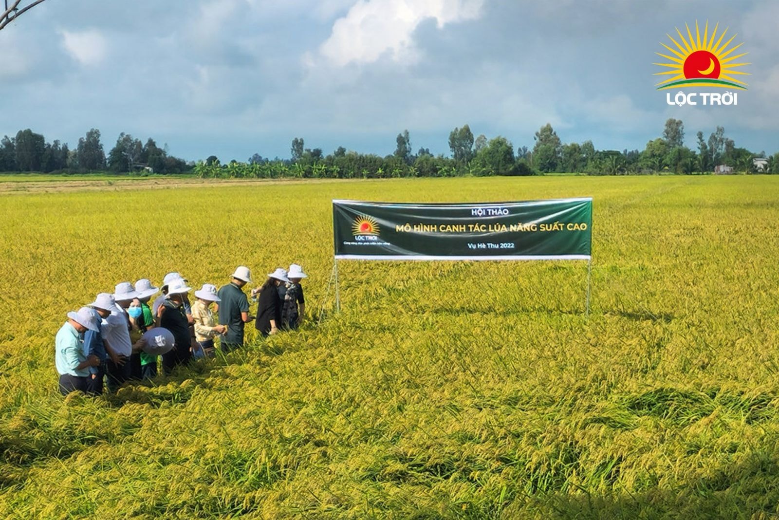 Tập đoàn Lộc Trời công bố báo cáo tài chính tiếp tục lỗ Quý 2/2022 do