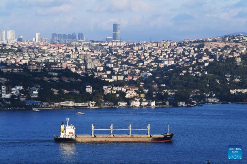 Tàu chở ngũ cốc của Ukraine đi qua Eo biển Bosphorus ở Istanbul, Thổ Nhĩ Kỳ, tháng 8/2022