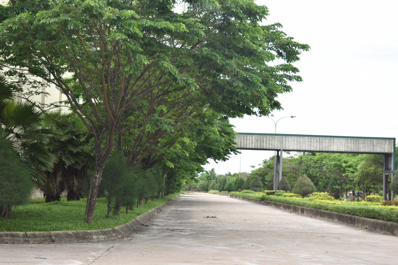 Bắt đầu từ lối đi vào khu sản xuất và trung tâm điều hành, toàn bộ khuôn viên bao phủ một màu xanh mướt của rất nhiều loài cây được chăm sóc cẩn thận