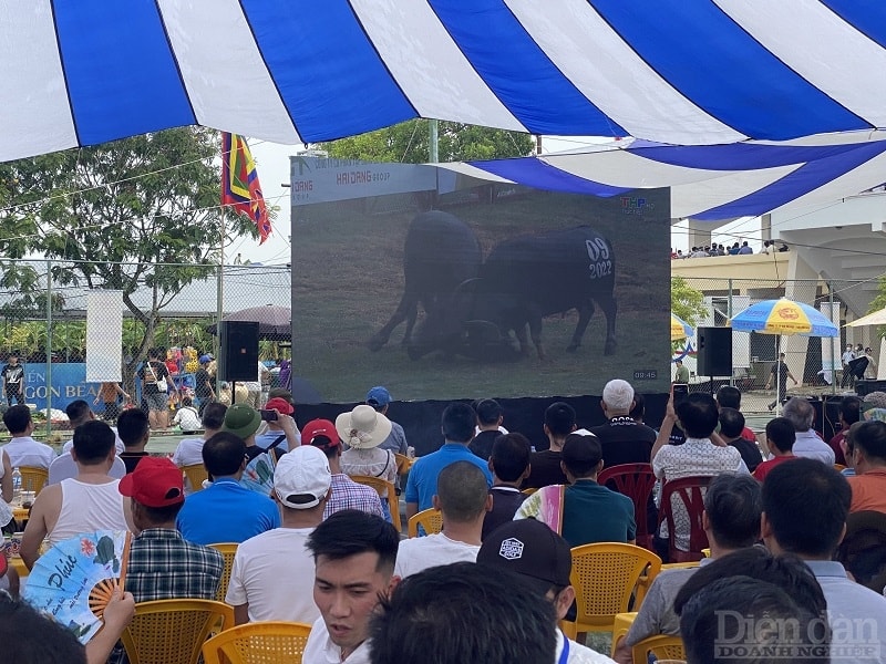 Do lượng khách về dự lễ hội chọi trâu rất đông nên quận Đồ Sơn cũng bố trí các màn hình chiếu phía bên ngoài sân vận động (nơi diễn ra lễ hội chọi trâu) để phục vụ nhu cầu của du khách thập phương