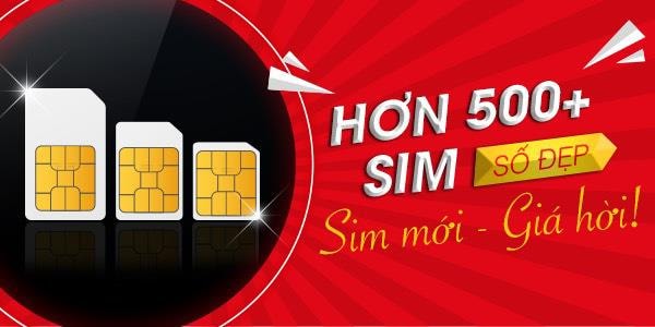 Chặng đường 15 năm hình thành và phát triển của Kho Sim