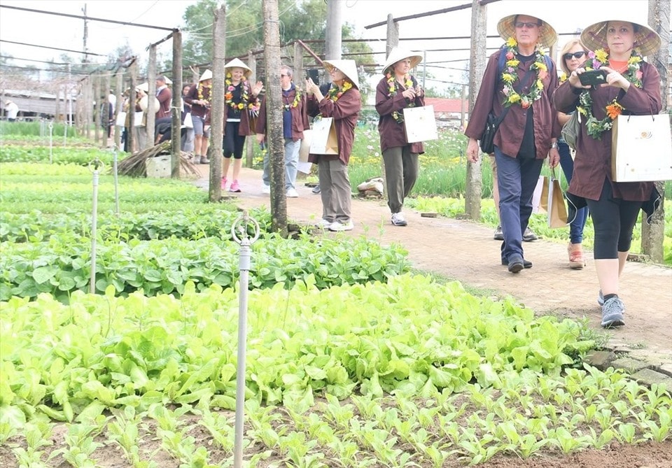  Du khách nước ngoài thích thú tham quan làng rau Trà Quế (Hội An, Quảng Nam)