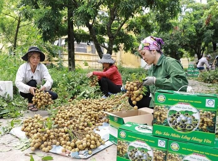 Những nông sản được cấp chứng nhận chỉ dẫn địa lý có nhiều lợi thế trong tiêu thụ