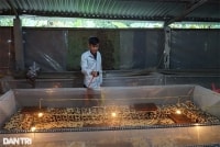 Dược sĩ bỏ nghề về quê, phất lên với nghề chỉ tốn một giờ mỗi ngày