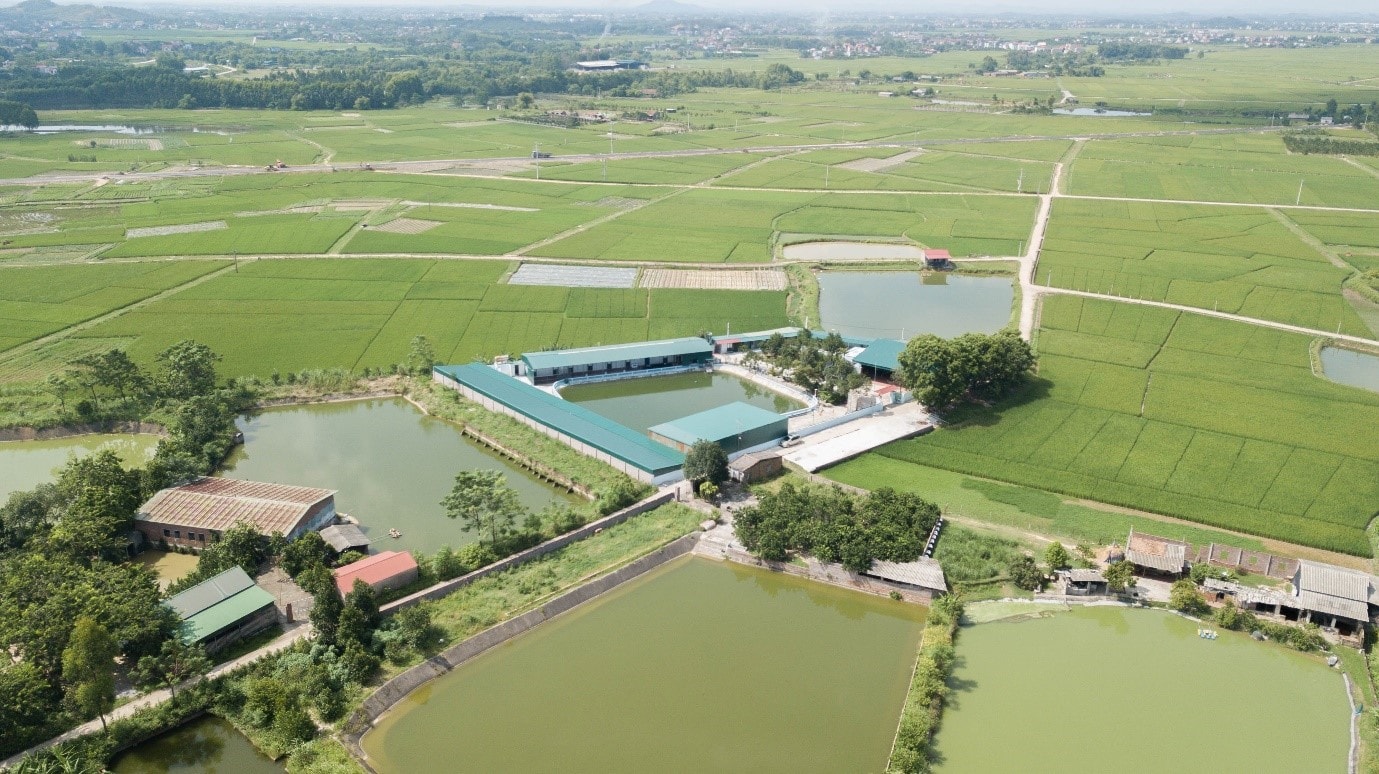  Nhà máy sản xuất - Hợp tác xã dịch vụ công nghệ cao Duca