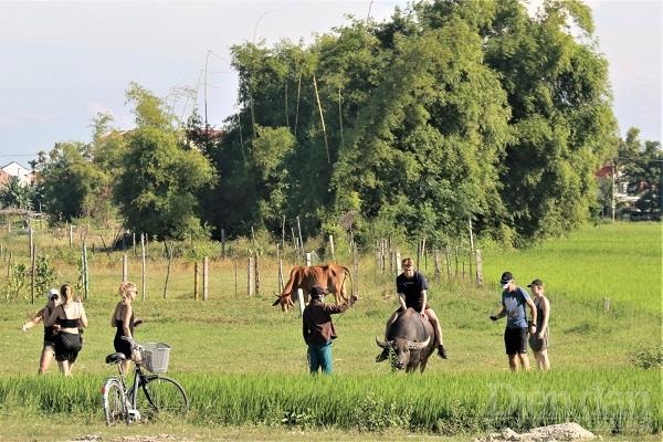 Đà Nẵng có thể tham khảo các mô hình du lịch sinh thái, cộng đồng, trải nghiệm,... tại các địa phương lân cận.