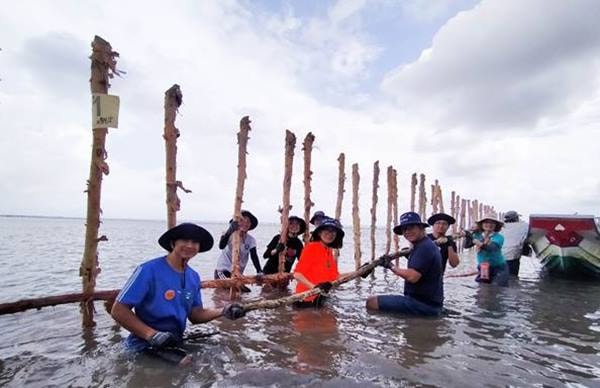 Một trong những giải pháp bền vững và thiết thực nhất để chống biến đổi khí hậu là trồng rừng, phục hồi các rừng đặc dụng đầu nguồn như rừng Cà Mau và Đồng Nai