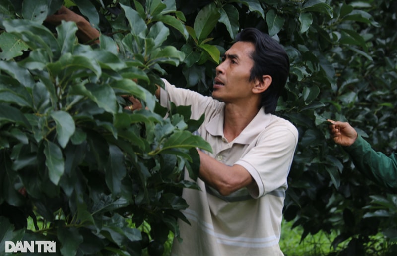 Anh Trinh hiện là cán bộ công tác tại Sở Văn hóa- Thể thao và Du lịch tỉnh Đắk Nông (Ảnh: Đặng Dương).